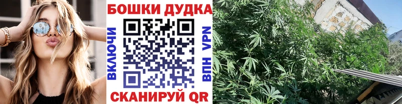 где можно купить наркотик  Малаховка  Конопля MAZAR 